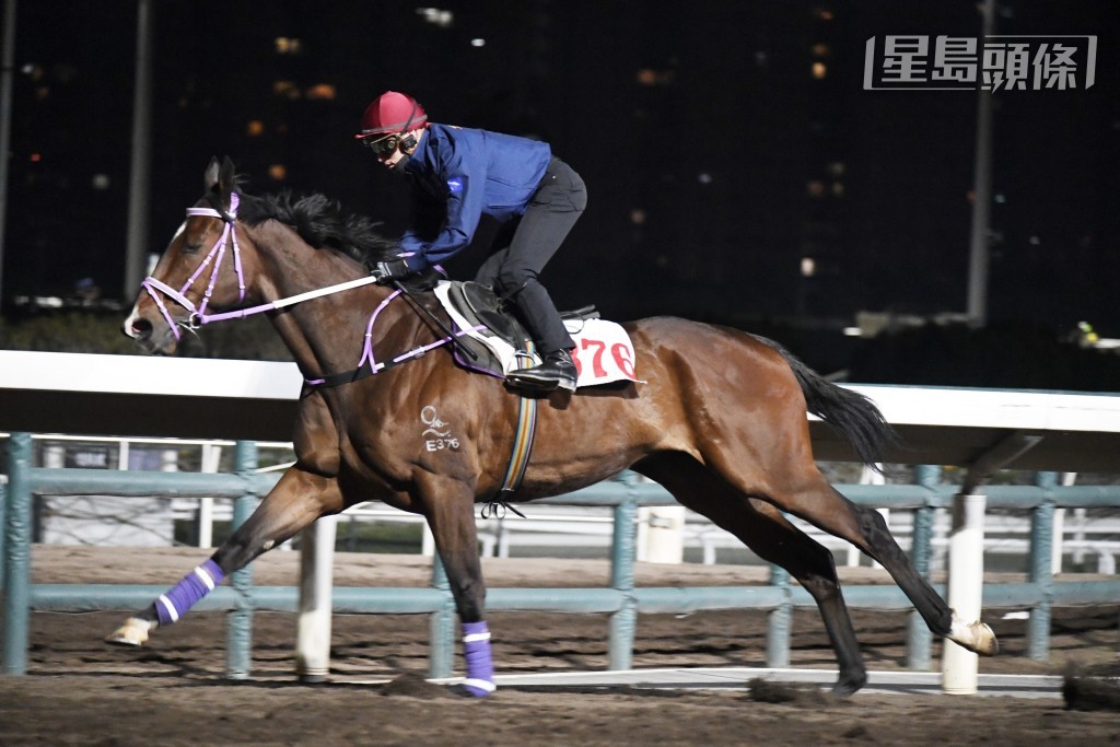 賀銘年今朝少有地六點十五分已現身為「喜愛善」出跳。