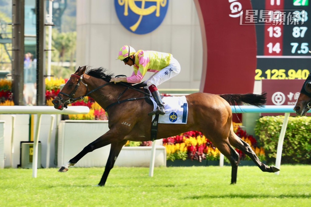 陳志光的「自力更生」、「做好自己」(圖) 等駒都是由嘉琦精心挑選。