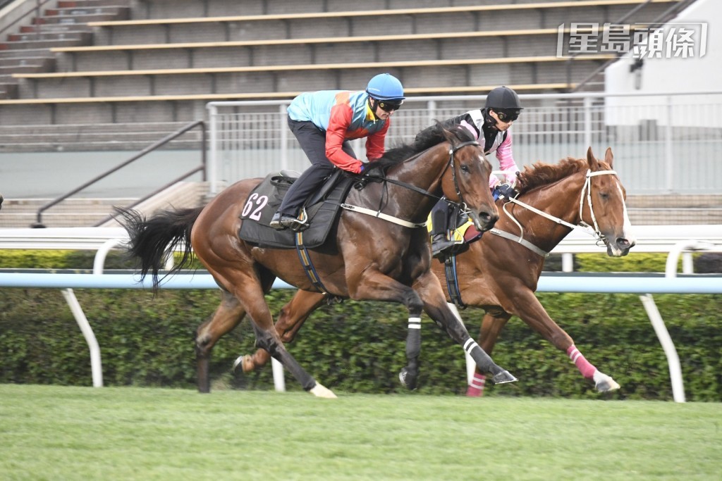 「嘉應高昇」(近) 由潘頓出試一千米草閘，力壓「美麗第一」率先過終點，一如所料在今早試閘中掄元。
