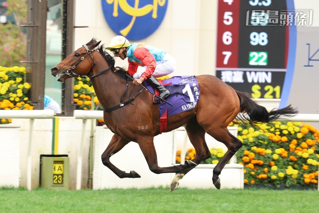  「嘉應」系團體馬「嘉應高昇」上周日沙田賽事一級賽女皇銀禧挑戰盃，再一次輕取對手而回。
