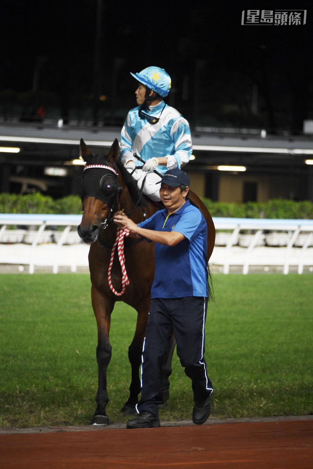 今季「飞轮霸」、「瑶瑶日上」、「非惟侥幸」(图) 均交出头马，可见双方马主今季的养马运不错。