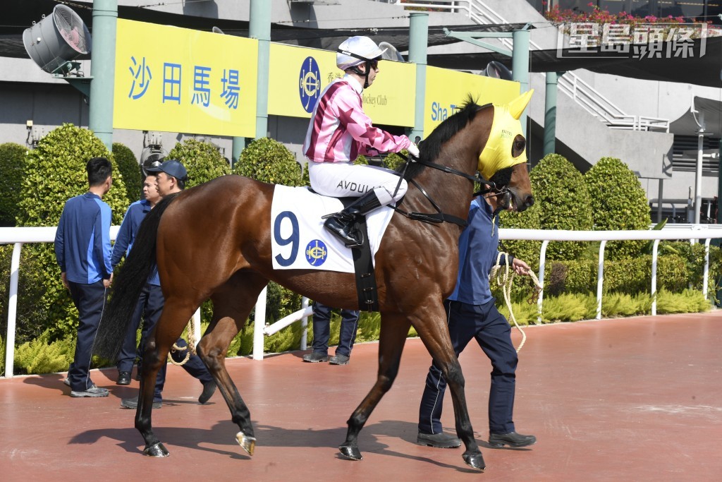 「銳目」早前曾在田草千二米三度入前四名，可是上場卻跑第九表現失色。