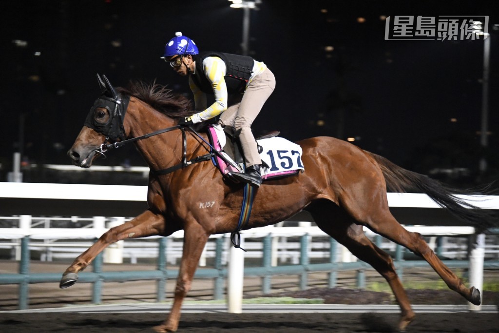 「勁勇皇駒」戴頭罩由何澤堯跳兩段，贏開有勢，步勁力度貫注，而且成熟程度大增，勇況十足。