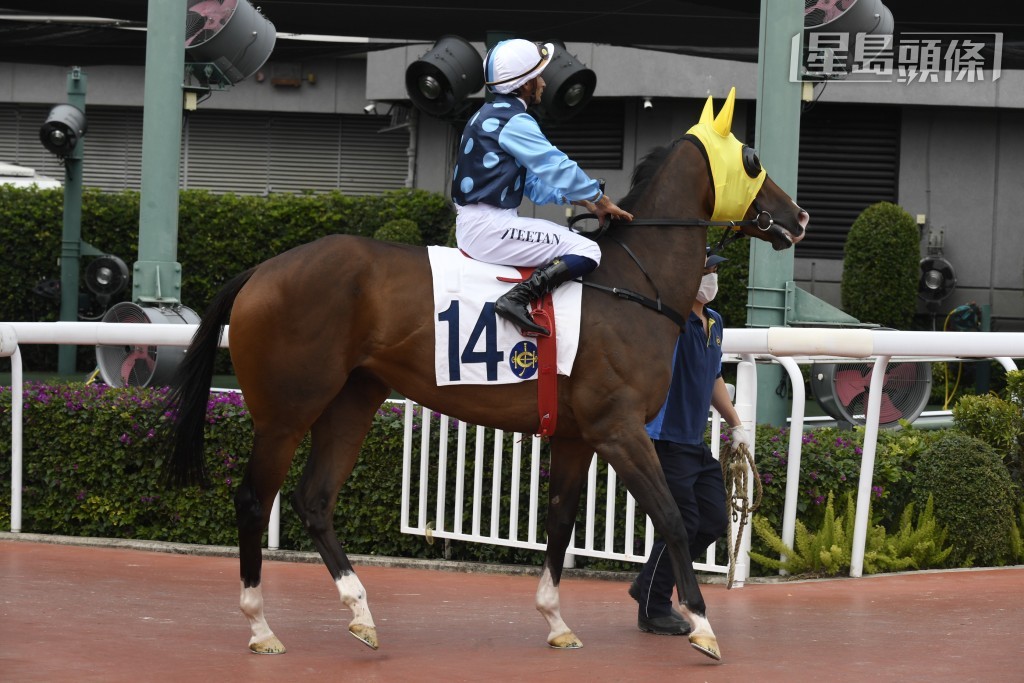 「超風速」今季轉投桂廄跑過兩場後，上仗在田草千四米上名，