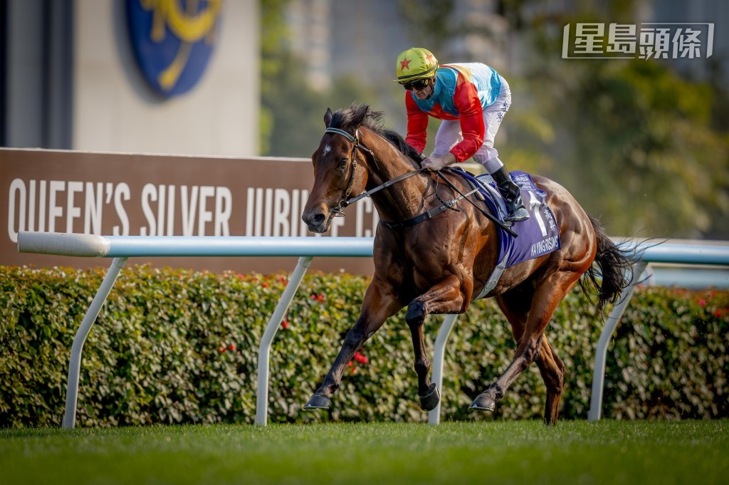 今战「嘉应高升」跑二级赛短途锦标,难度理应较上次跑一级赛女皇银禧纪念杯低。 今战「嘉应高升」跑二级赛短途锦标,难度理应较上次跑一级赛女皇银禧纪念杯低。