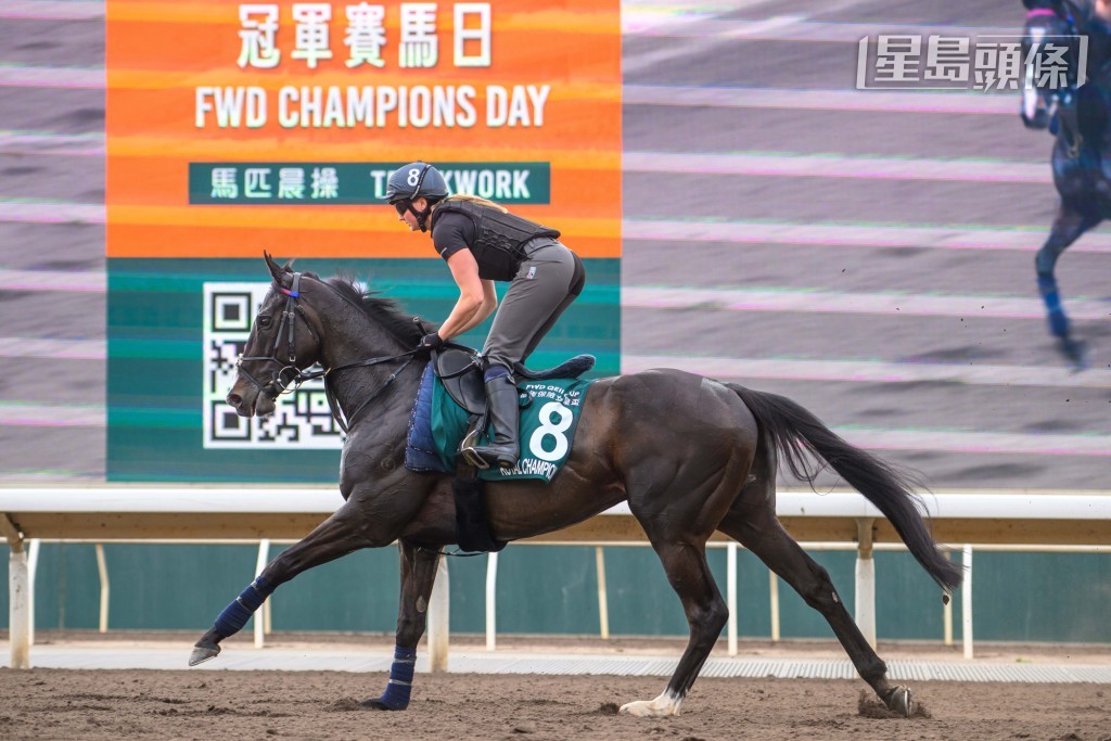 女皇盃代表「御冠軍」出試。