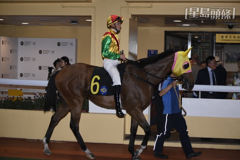 出爭第六場三一哩的呂廄「智勇名駒」，前季在同程贏得三場頭馬後，上季雖未能再捷，亦能兩度在谷草一哩上名。