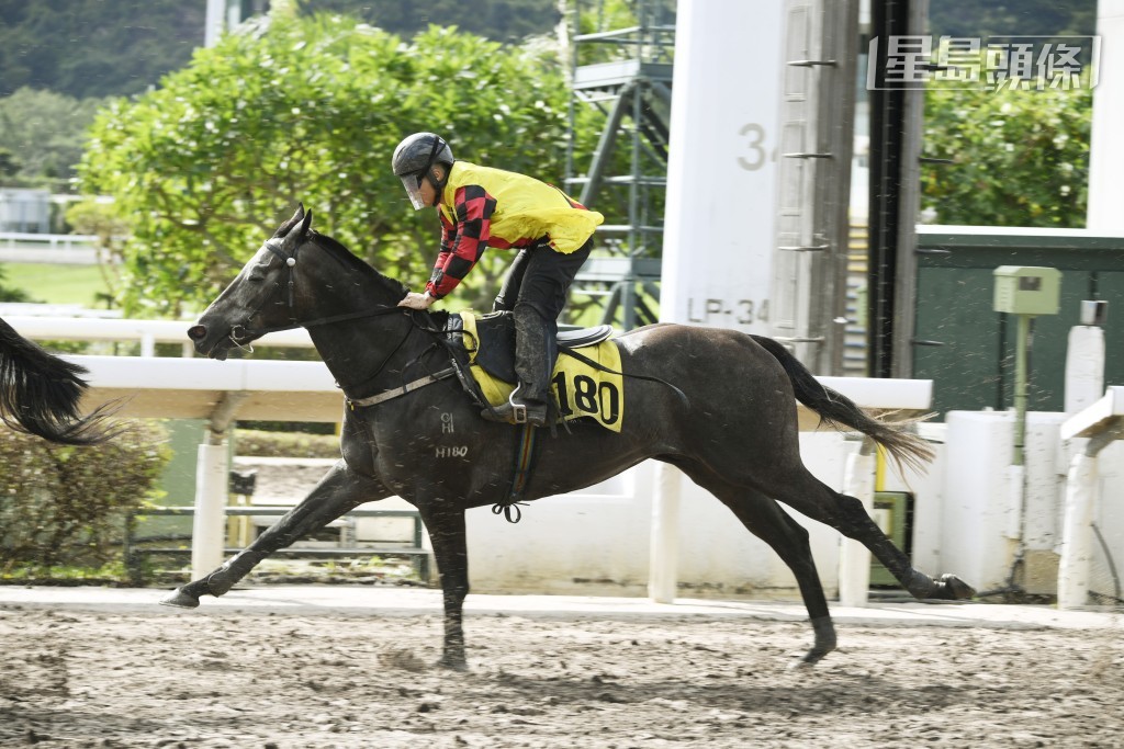 第五場四班千二米的「駿先生」在港初出。