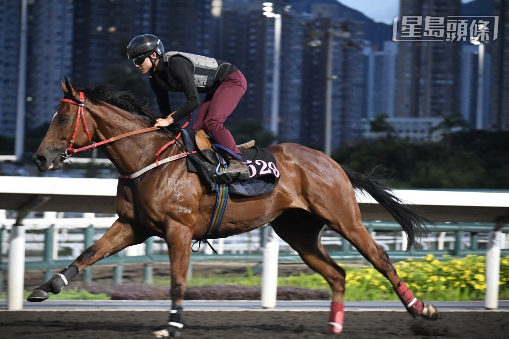 今朝「耀昌勝世」試跑分外緊張,出跳前見周俊樂策馬從隧道步出,當時佢特意走到隧道口等馬,有此之故因航哥要向樂仔詳細教路,動態肉緊到爆。 今朝「耀昌勝世」試跑分外緊張,出跳前見周俊樂策馬從隧道步出,當時佢特意走到隧道口等馬,有此之故因航哥要向樂仔詳細教路,動態肉緊到爆。