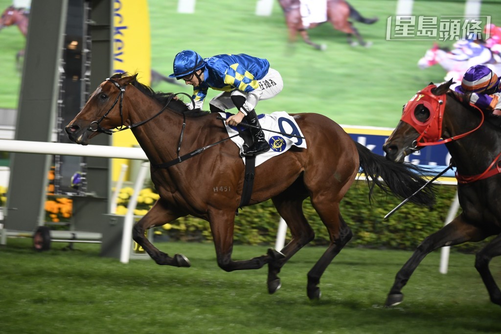 周日潘頓與桂福特二人合作「開心勇駒」(圖)，能否攜手進入凱旋門？