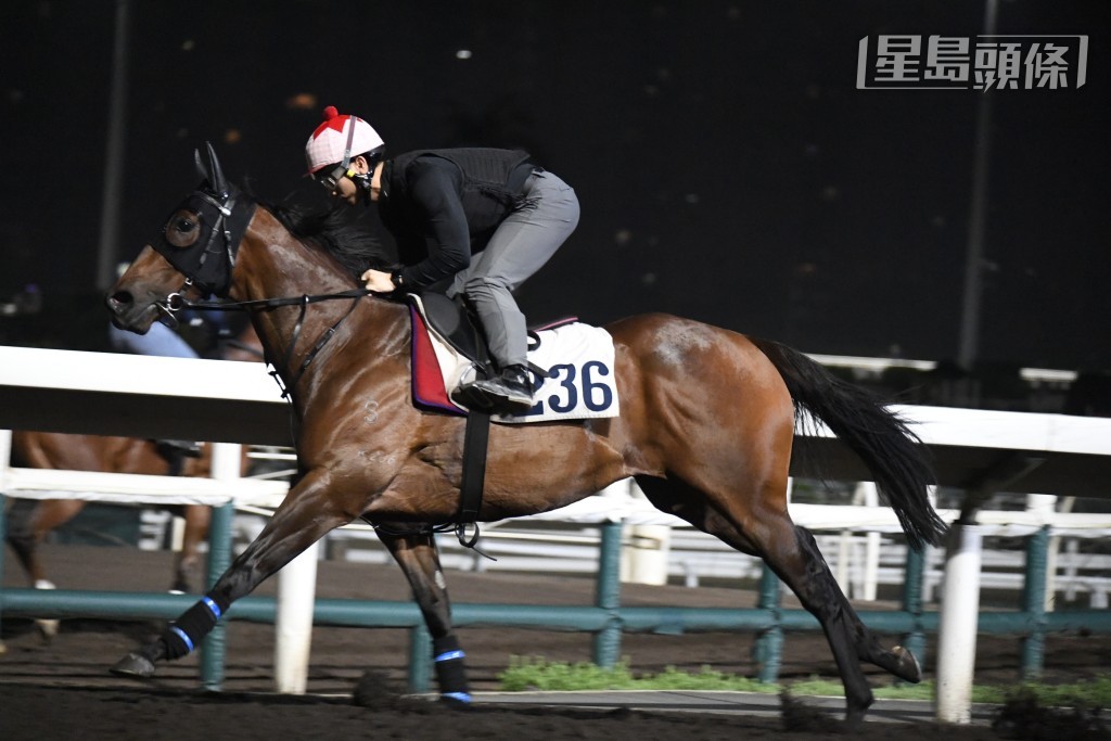 昨朝「扶搖勢勁」出跳姚本輝跟到實，課後尚要第一時間向鞍上人追問，重視程度盡顯。