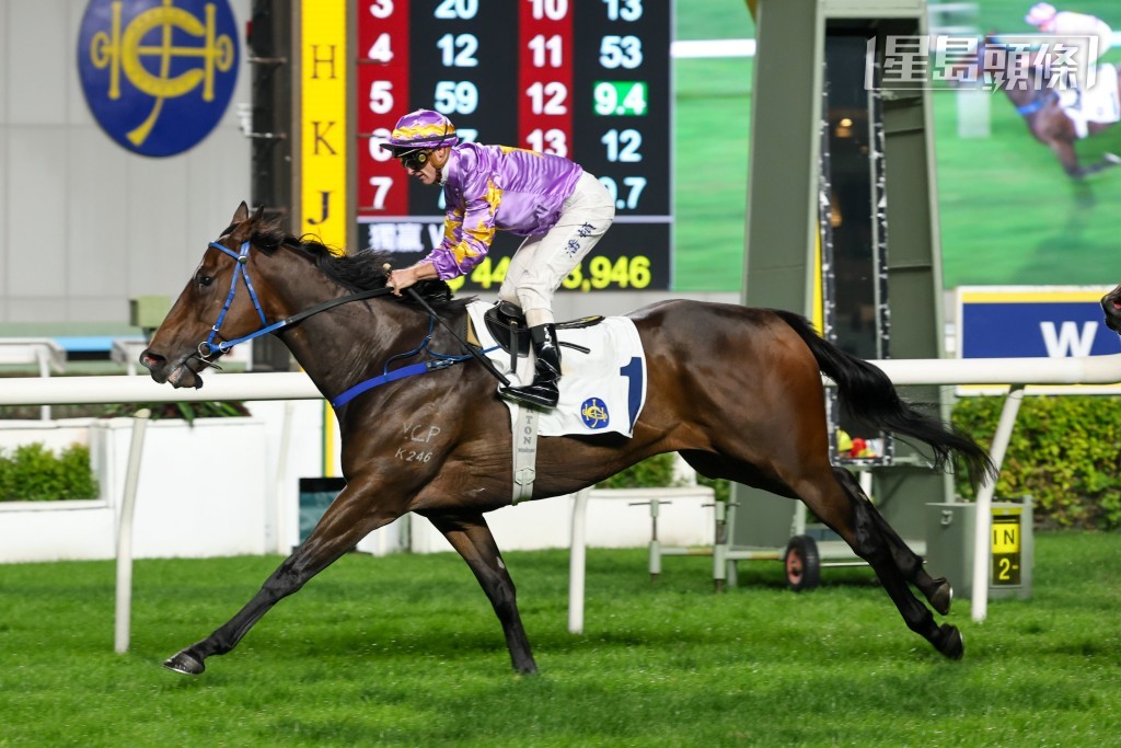 丁冠豪馬房的「小鳥天堂」今季已取得兩捷。