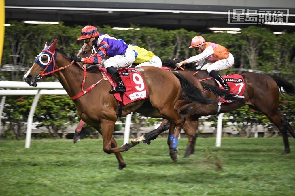 「越駿歡欣」季內曾捧走一月盃。