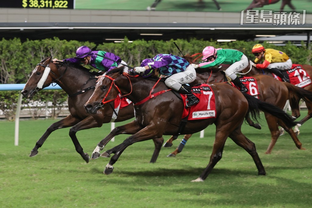 梁家俊夥拍「至尊瑰寶」贏得他在港的第500場頭馬。 梁家俊夥拍「至尊瑰寶」贏得他在港的第500場頭馬。