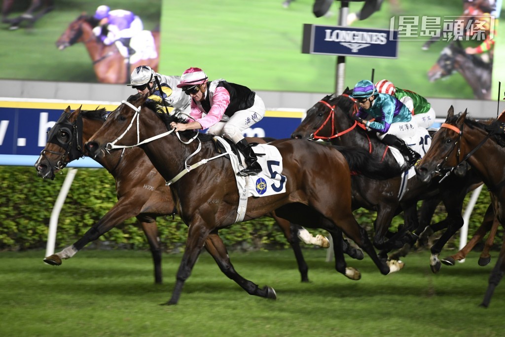 當日麥道朗還卜定「美麗星晨」(圖)、「臻至辰」、「手機錶勁」及「智多多寶」，暫定五匹坐騎。