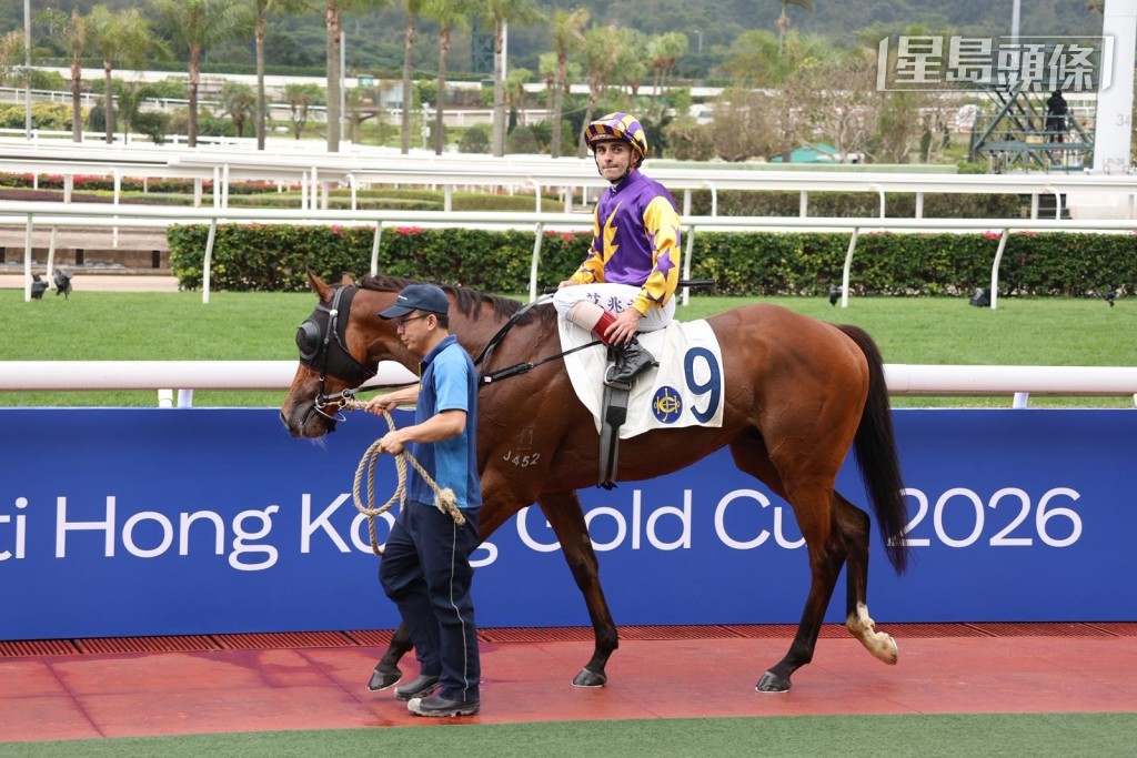 艾兆禮坐騎不乏實力分子，當中「步風雷」(圖) 打疊贏馬，有力為騎者補祝生日。