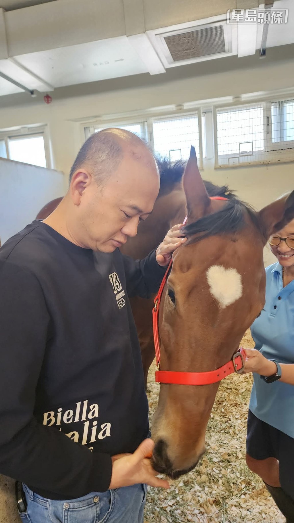 吴氏一家人上周专程入巫伟杰马房,探望「辣得驾势」,喂马儿吃红萝卜。 吴氏一家人上周专程入巫伟杰马房,探望「辣得驾势」,喂马儿吃红萝卜。