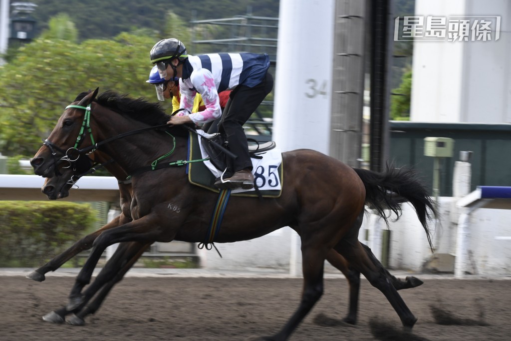 周日「包裝」系的「包裝戰將」及「包裝創新」(圖) 分別出戰第三及六場，且看能否為李文斌和其太太何芷韻帶來頭馬喜悅。