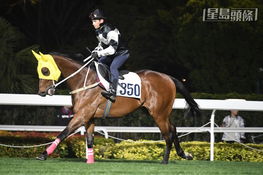 「時時歡聲」去年五月底發現左前腿肌腱受傷，其復出首戰表現如何？ 