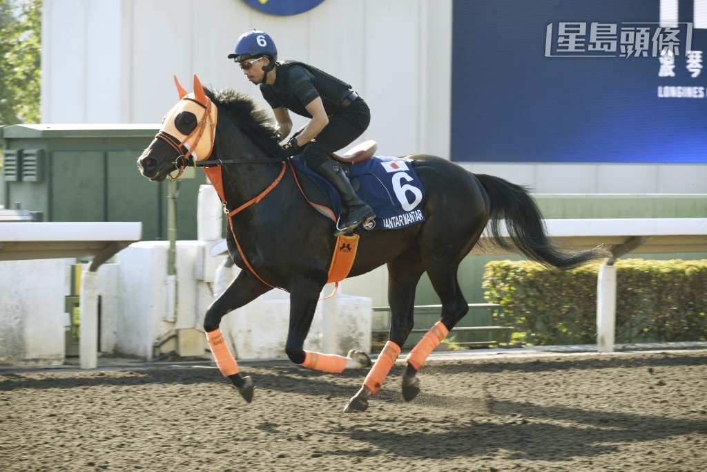 「遠觀天象」去年亦曾來港參加香港一哩錦標，可是在騎師川田將雅胯下只跑第十三名。