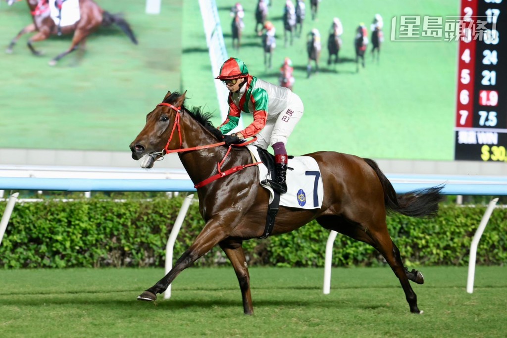 潘頓當日的其他坐騎有「精英雄心」、「星月飛雲」、「實力股」(圖)、「量子力奇」、「細水長流」、「愛馬心」、「心雄雄」、「隨緣得勝」、「巴閉佬」及「東方魅影」。 潘頓當日的其他坐騎有「精英雄心」、「星月飛雲」、「實力股」(圖)、「量子力奇」、「細水長流」、「愛馬心」、「心雄雄」、「隨緣得勝」、「巴閉佬」及「東方魅影」。