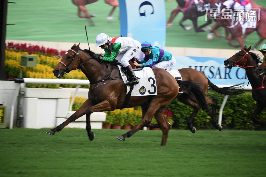 蕭煒忠和父親蕭澤偉名下之「寶成智勝」，上季一出即勝。