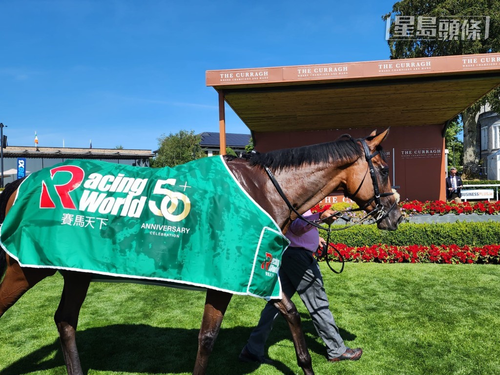 頭馬是岳本賢的Kirkland Sioux。 頭馬是岳本賢的Kirkland Sioux。