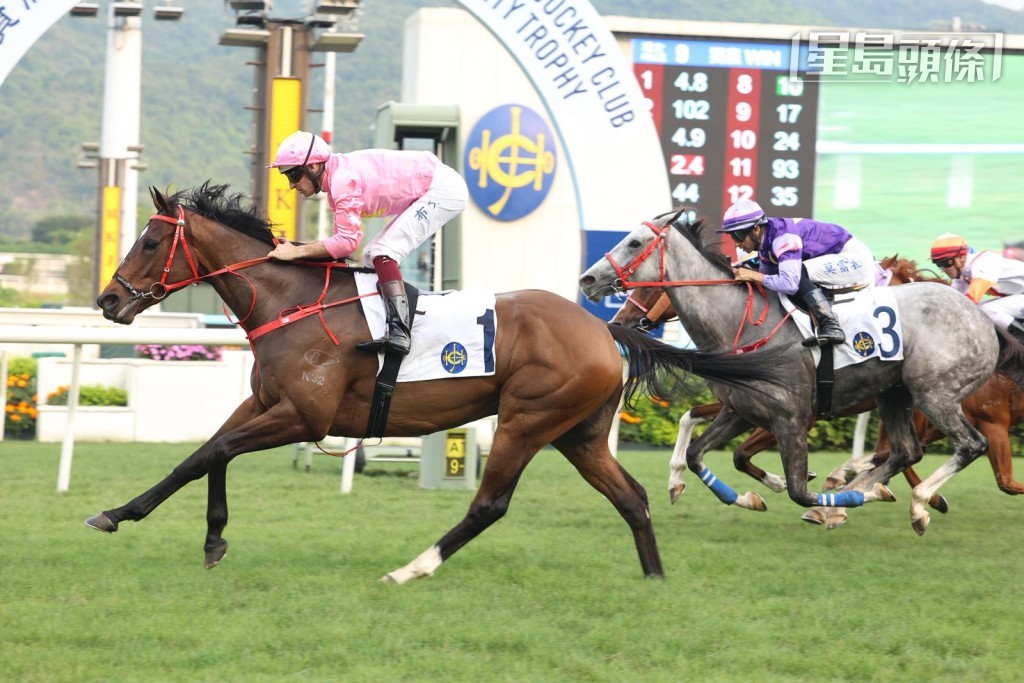 周日艾兆礼将策骑「首饰天空」（图）、「闪电小子」、「安帝」、「八仟好运」及「步步合拍」等驹。