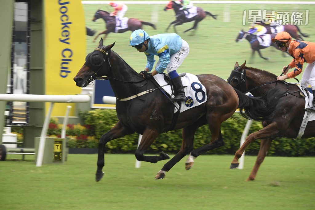 胡伟林当然希望周日「好友心得」、「领航多福」及「领航传祺」(图) 齐齐有好成绩。