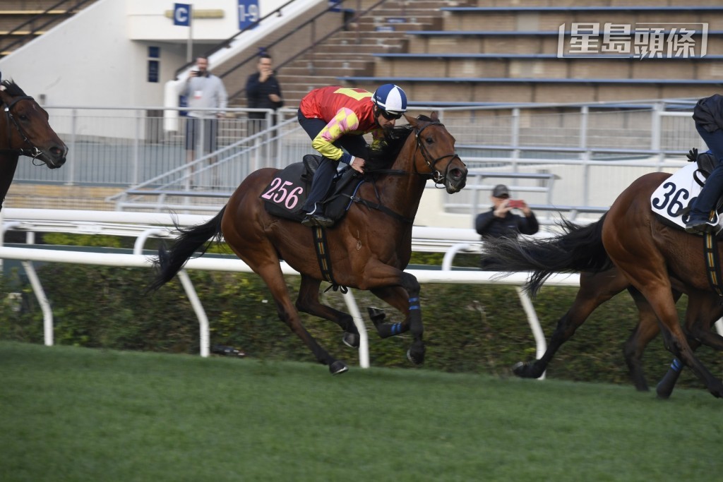 「祝愿」(图) 今早由布文试草闸，廖康铭当然紧张地吼实。