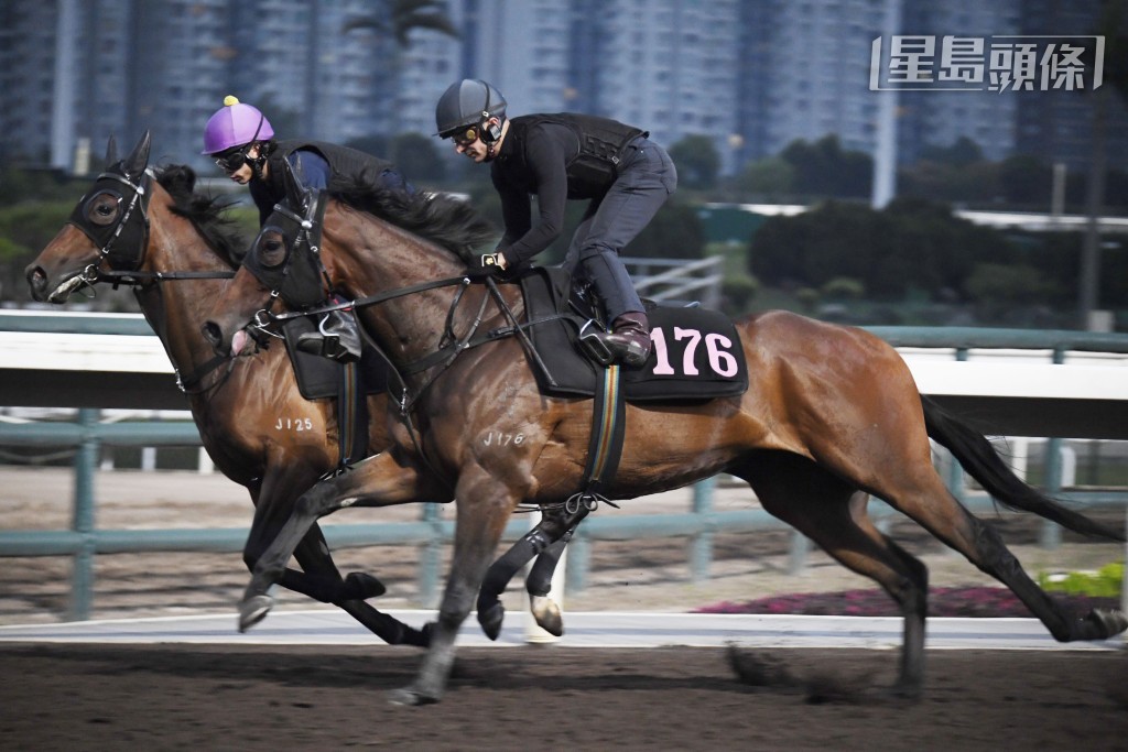  黎廄馬極少由騎師考驗，今課「怡昌奇兵」(外)由艾兆禮親試，確實充滿搏殺動靜。