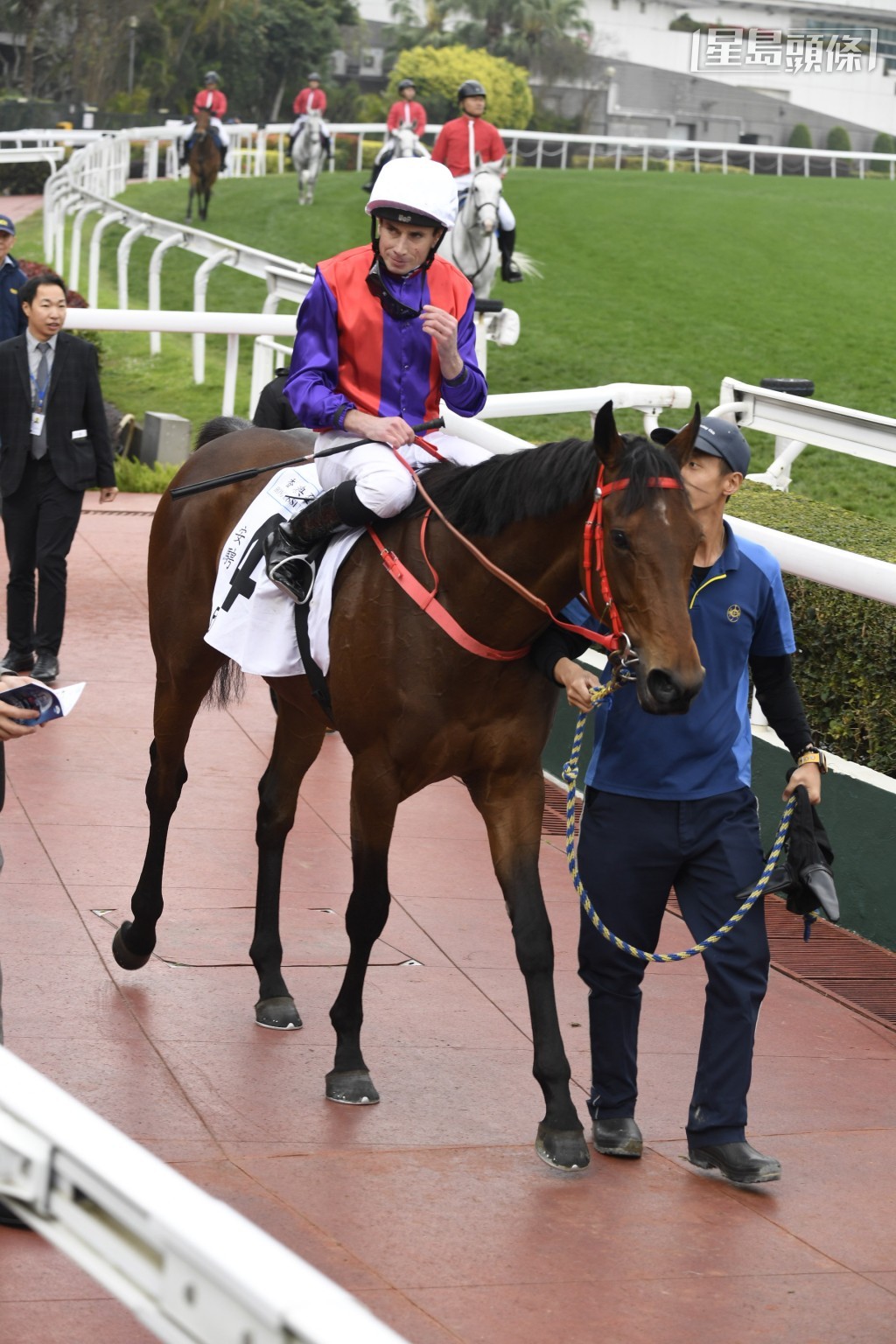 蔡約翰麾下的「安騁」將由莫雅執韁。