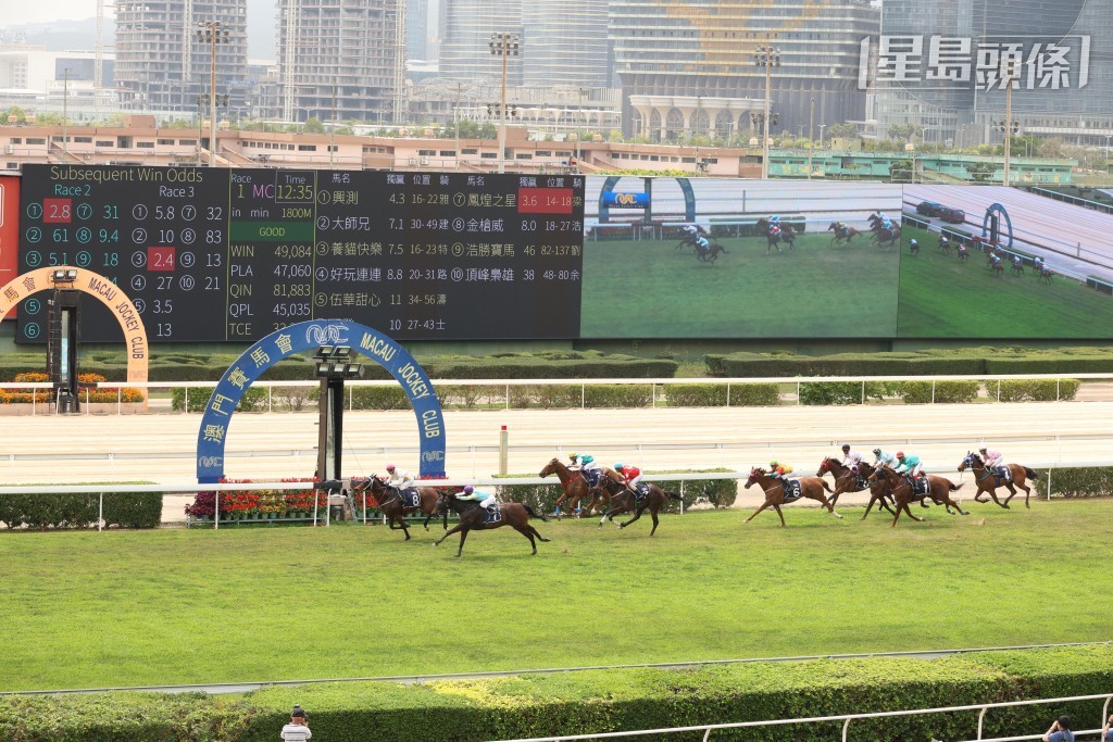 從澳門永久進口香港的馬匹須在澳門接受三星期的出口前檢疫，繼而在香港接受兩星期的抵港後檢疫。