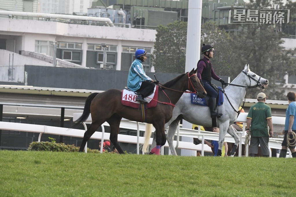 「浪漫勇士」由田泰安试草地千六米闸。