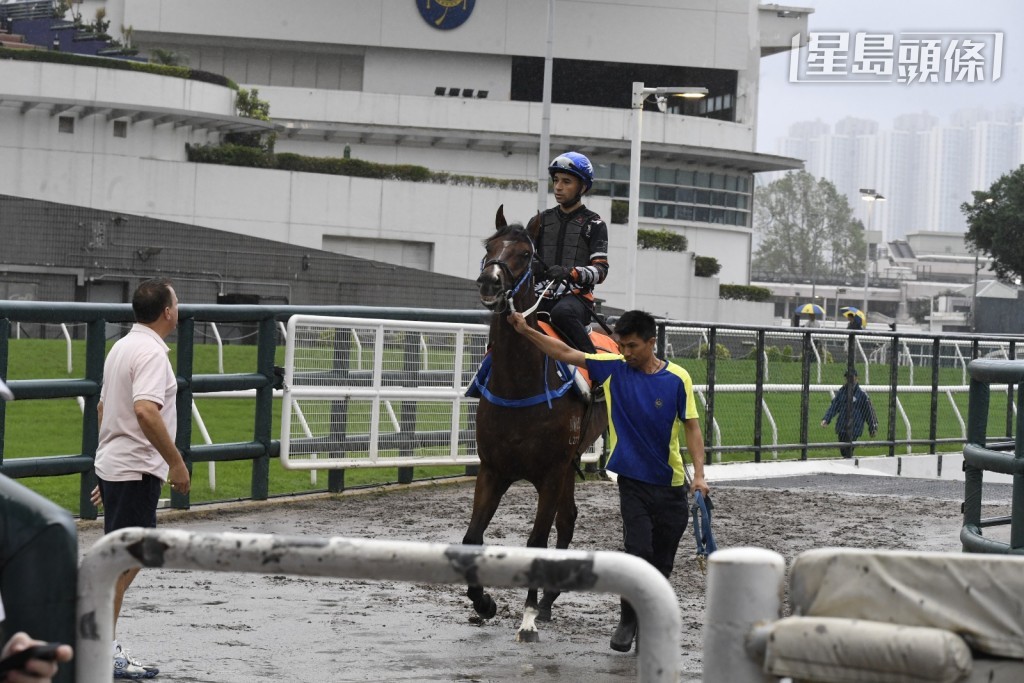 今早莫雷拉準備為「日日賞」操練前，方嘉柏一早已在隧道口守候，全程觀看馬兒的備戰情況，深得騎練重視。
