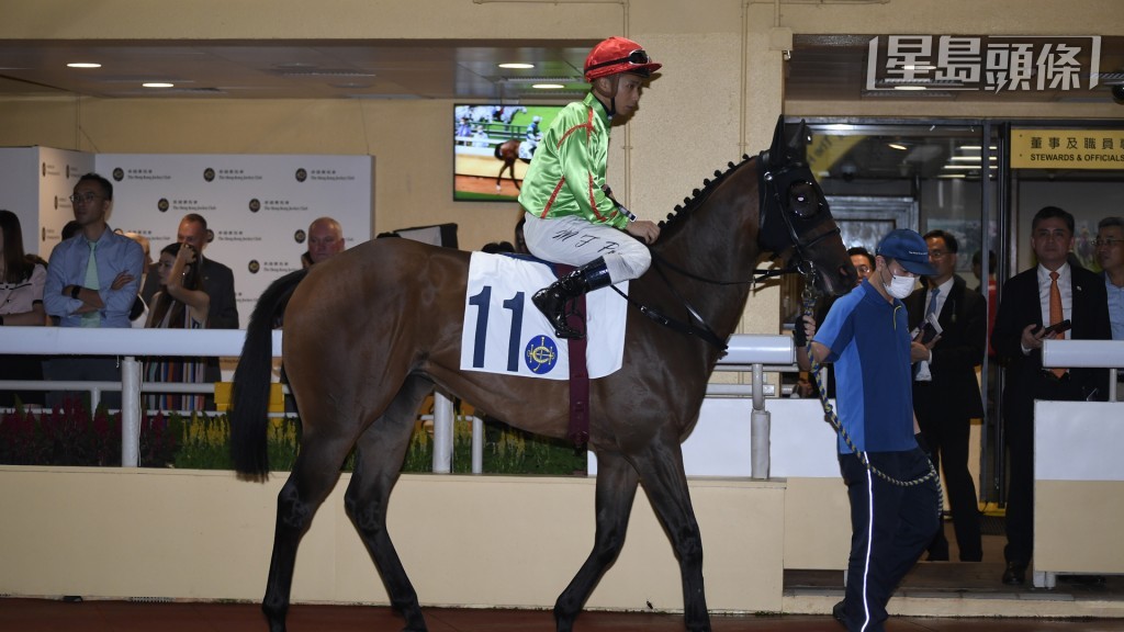 「三劍俠」今季轉投新開倉的巫偉傑馬房。