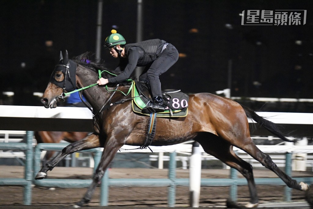 「友瑩仁」近來情緒集中唔急唔搶，四蹄盡展彈力十足，弗到不得了。