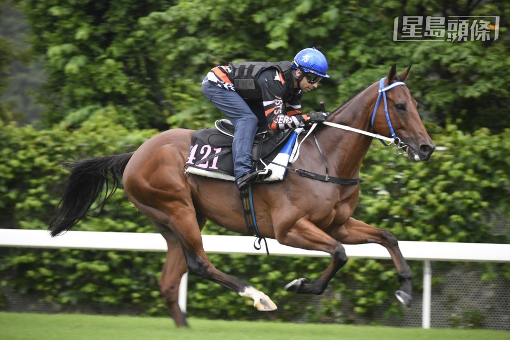  「仁仁有餘」莫雷拉跳兩段，健步如飛渾身是勁，雙目炯炯有神，贏馬後氣勢正盛。