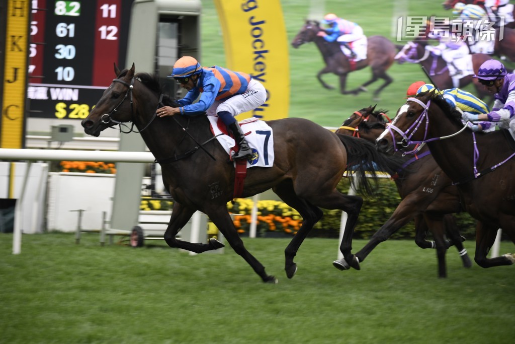 至于周日五匹参战马中，桂福特认为以「鼓浪好友」(图) 和「绿族无限」最具胜望。