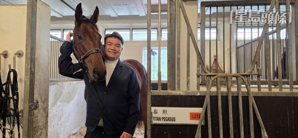 馬主岑健龍個人名下養有三駒，分別是「蜜蜜送」、「泰坦」和「你是我的」。
