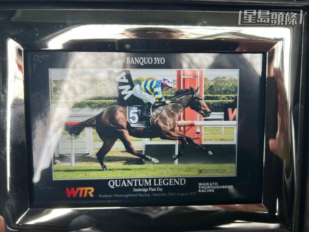 Quantum Legend在新西蘭一場1200米的三歲馬處女馬賽勝出。相片提供：馬主劉業強提供