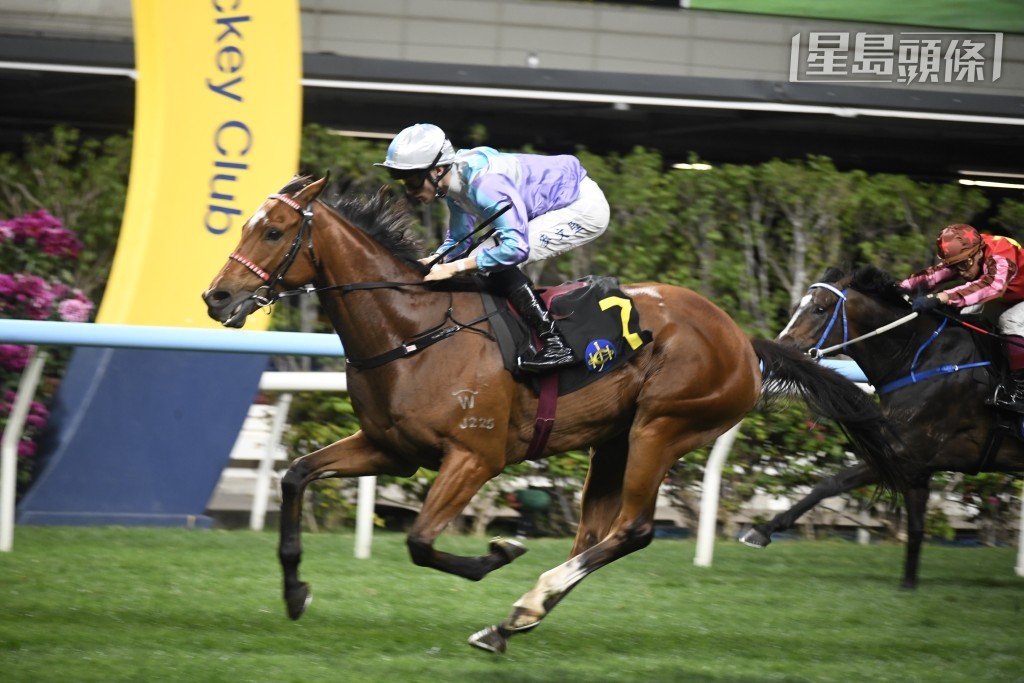 周三谷戰，麥文堅卜定「一定掂」(圖)、「大才」、「銀刺勇士」及「古惑大師」。