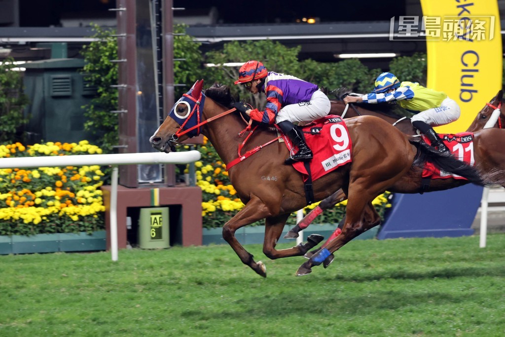 羅富全相信「越駿歡欣」(圖) 在其首本的途程上可再次交出其一貫準繩的表現。 羅富全相信「越駿歡欣」(圖) 在其首本的途程上可再次交出其一貫準繩的表現。