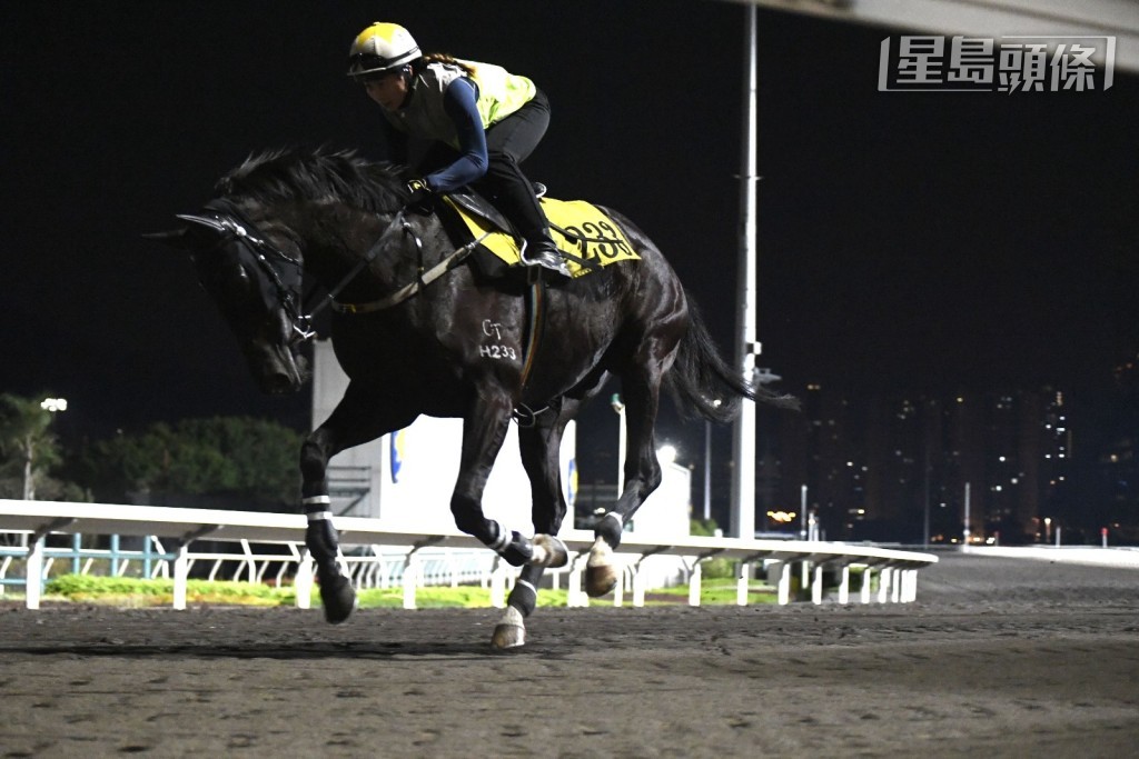 今早黄宝妮为师傅贺贤的「北海盗」(图) 主操，相信各位马迷都祝福黄宝妮尽快完全康复，可以再次策马上阵。