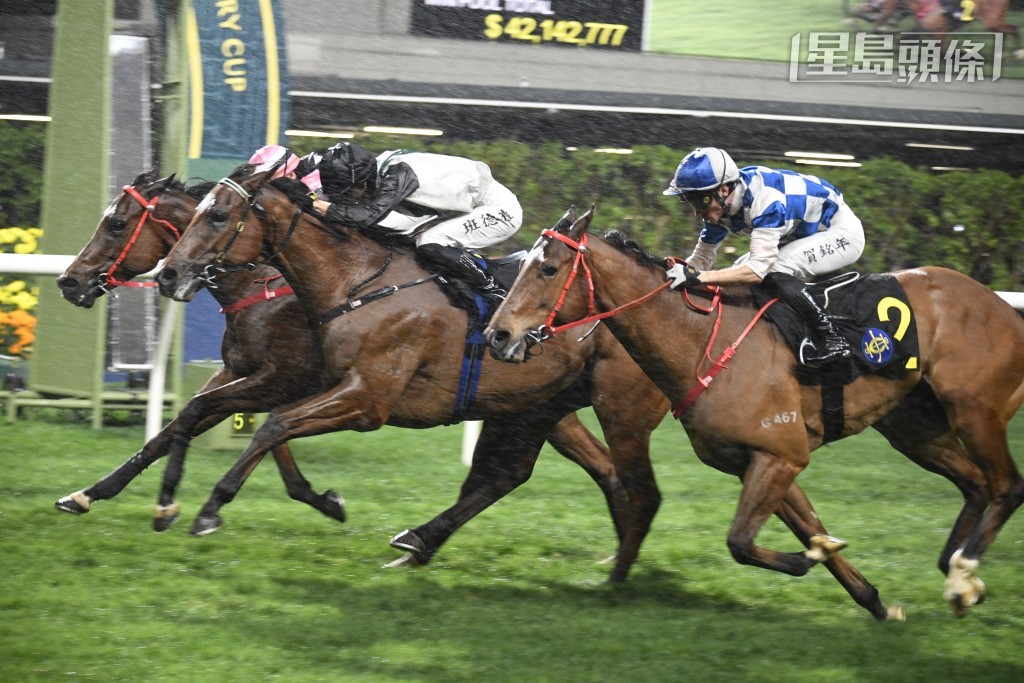 「友爱心得」(中) 将于周三晚报争第八场谷草三班千二米。