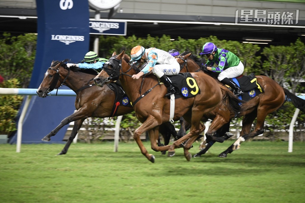 「翼羽陽明」(7號) 上場直路內閃，難以力策，跑得第四名，所負不遠，今場捲土重來，有力補中。