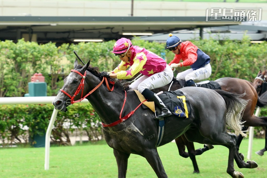 ■何澤堯助「紅海勁」於第十七戰開齋,個人近來連贏五次賽事。 ■何澤堯助「紅海勁」於第十七戰開齋,個人近來連贏五次賽事。