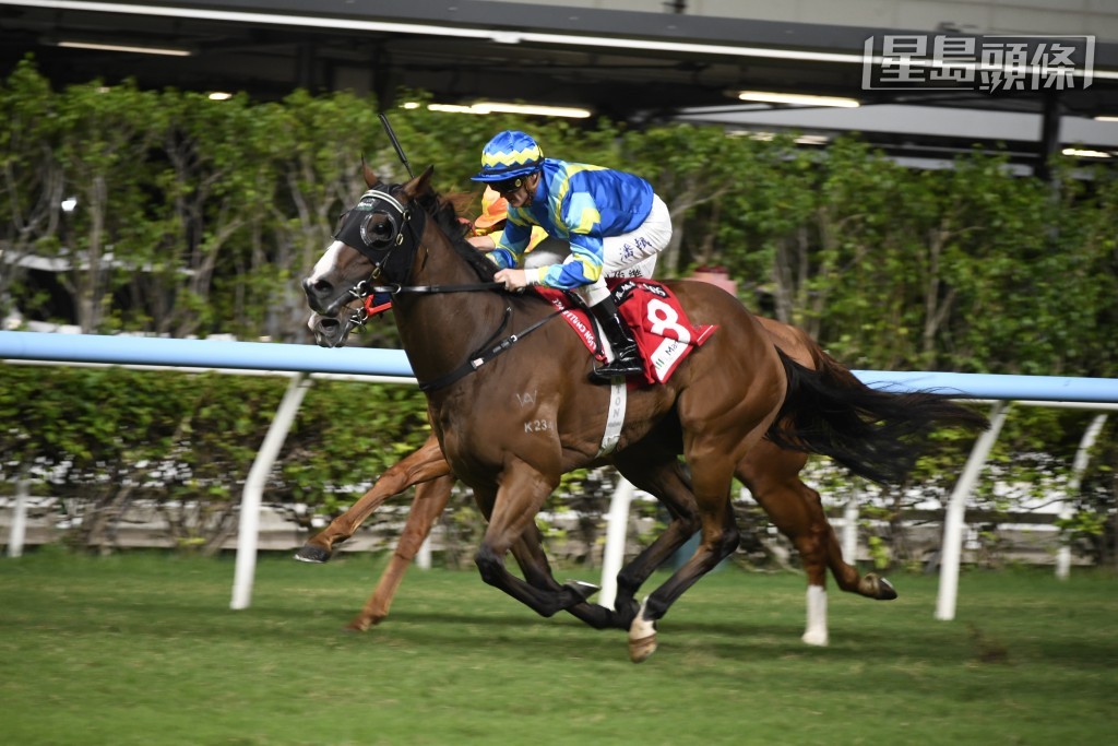 潘頓當日除了「錶之星河」外，還卜定「天星」(圖)、「白鷺金剛」、「包裝明將」、「嘉應勇士」、「賢知有您」、「包裝天王」、「天蓬貓」及「綫路萬里」主轡。