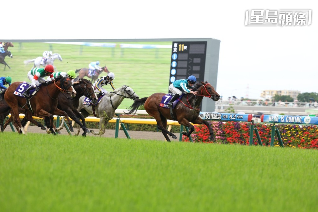 目前香港現役馬匹，除了「嘉應高昇」、「浪漫勇士」(圖) 和「遨遊氣泡」外，全部國際評分俱在一百二十分以下