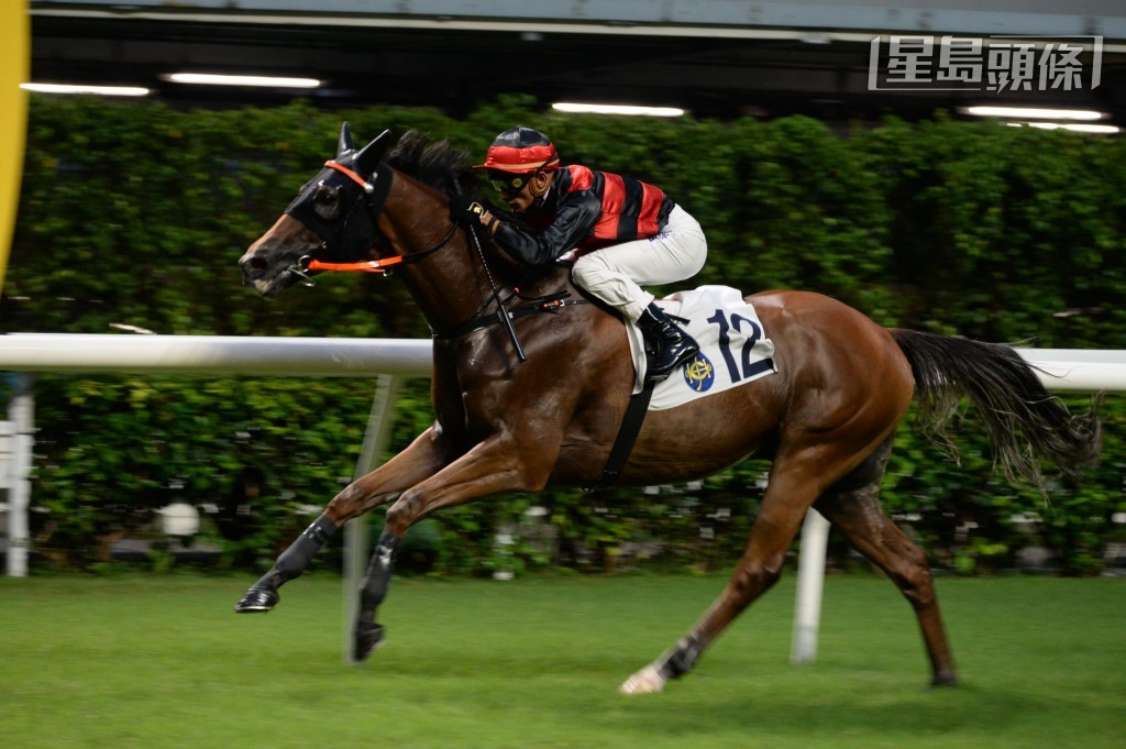 朱繼陶名下的「天賜寶」歷來取得七場頭馬。